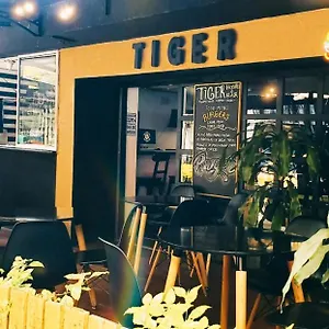  אכסניה Tiger