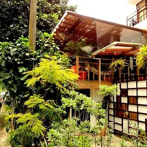  אכסניה Casa Kiwi